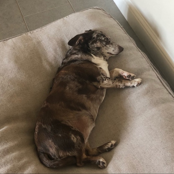 Meet your Posher, Zoe - Picture 6 of 6